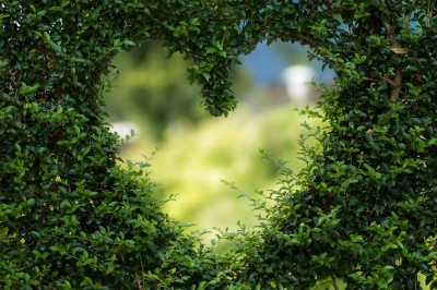 Gardening for health and wellbeing.